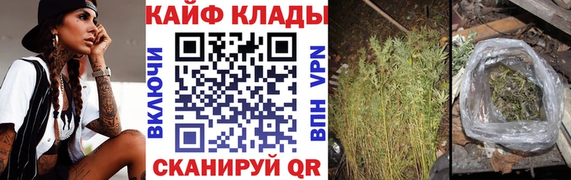Где продают наркотики Николаевск Канабис СК ГАШИШ