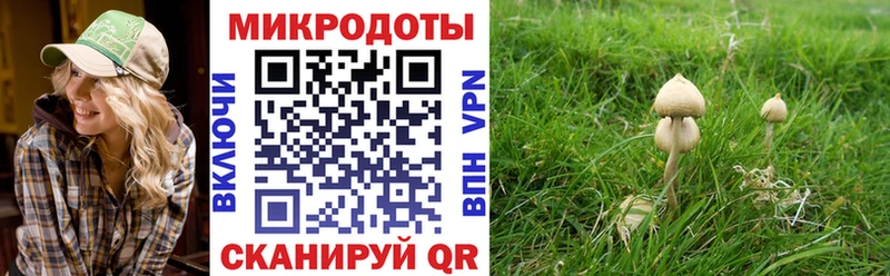 продажа наркотиков  Николаевск  Псилоцибиновые грибы ЛСД 